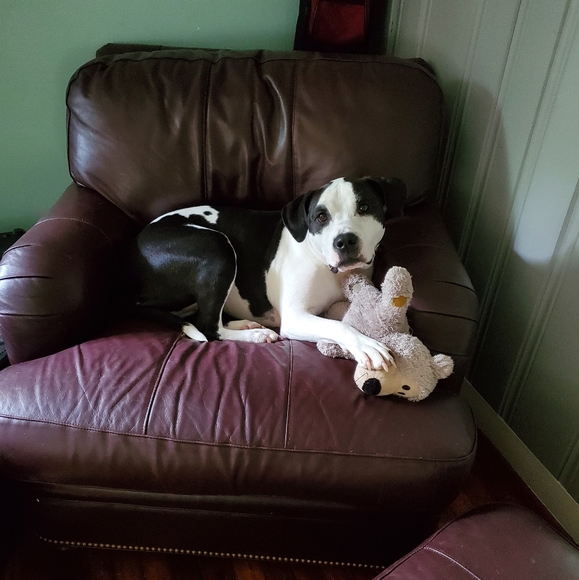 Meet your Posher, Kristen - Picture 2 of 3